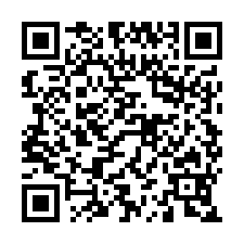QR 8256127