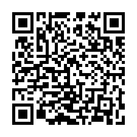 QR 8261528