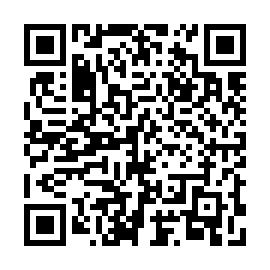 QR 82b2099