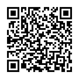 QR 83380b8