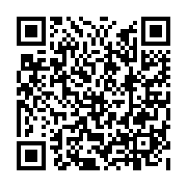 QR 83847dd