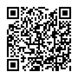 QR 8386383
