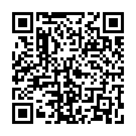 QR 838d156