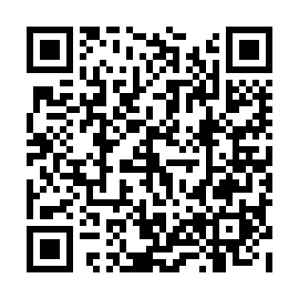 QR 838d295