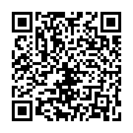 QR 838f971