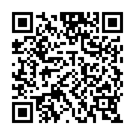 QR 83defec