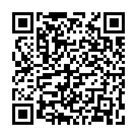 QR 8419e61