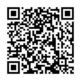 QR 845c313