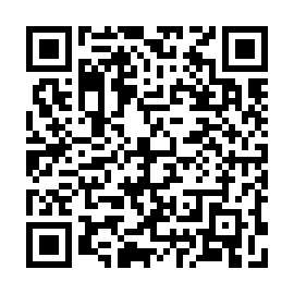 QR 8499991