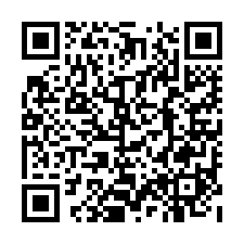 QR 84cc133