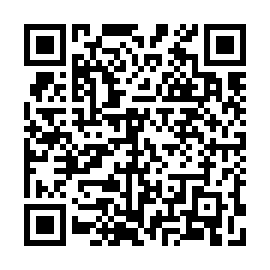 QR 8537383