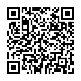 QR 8538529