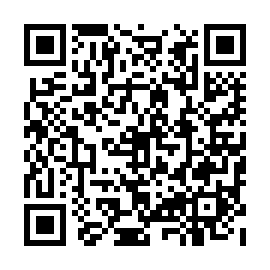 QR 8540381