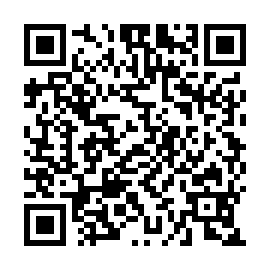 QR 856c263