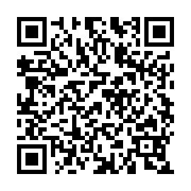 QR 8587332