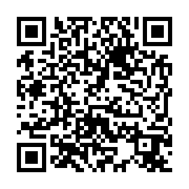 QR 858ab91