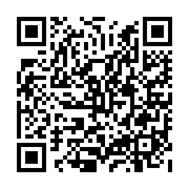 QR 8598283