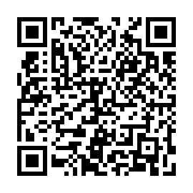 QR 85a3c33