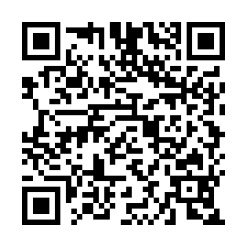 QR 85bab01