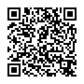 QR 85bb869