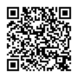 QR 85bba89