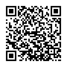 QR 85d330d