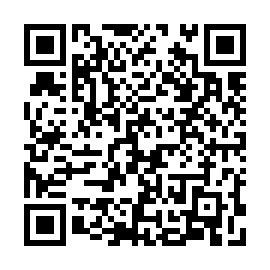 QR 85d53ab