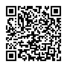 QR 85d93a1