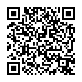 QR 85e3389