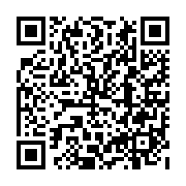 QR 85e3b03