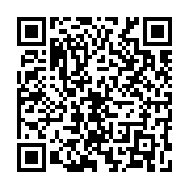 QR 85eba14