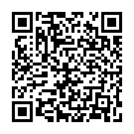 QR 8607e81