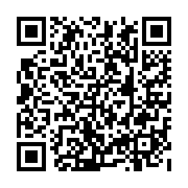 QR 8638202