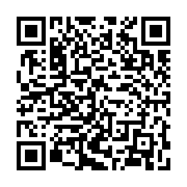 QR 8638558