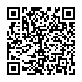 QR 8656813