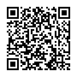 QR 8678b33