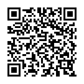 QR 8686e81