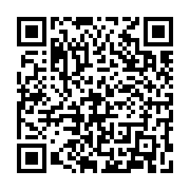 QR 86995a4