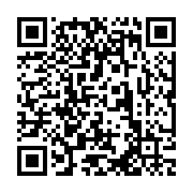 QR 869c233