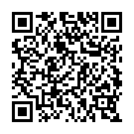 QR 86a33e6
