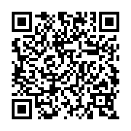 QR 86d538f