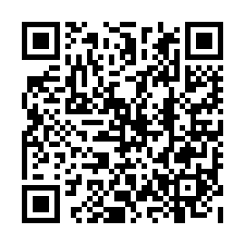 QR 87313cc