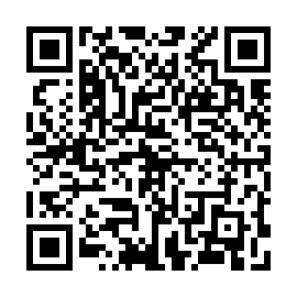 QR 873d500