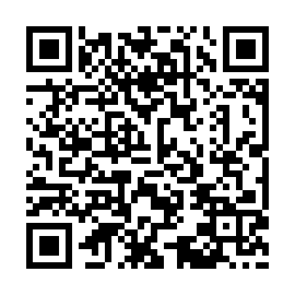 QR 878a833