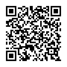 QR 878aeb5
