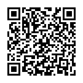 QR 87eb081