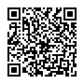 QR 87ef784