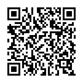 QR 88c181b