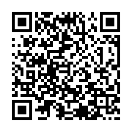 QR 891211e