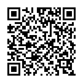 QR 893bd33